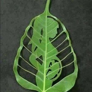 Meet your Posher, Chavez